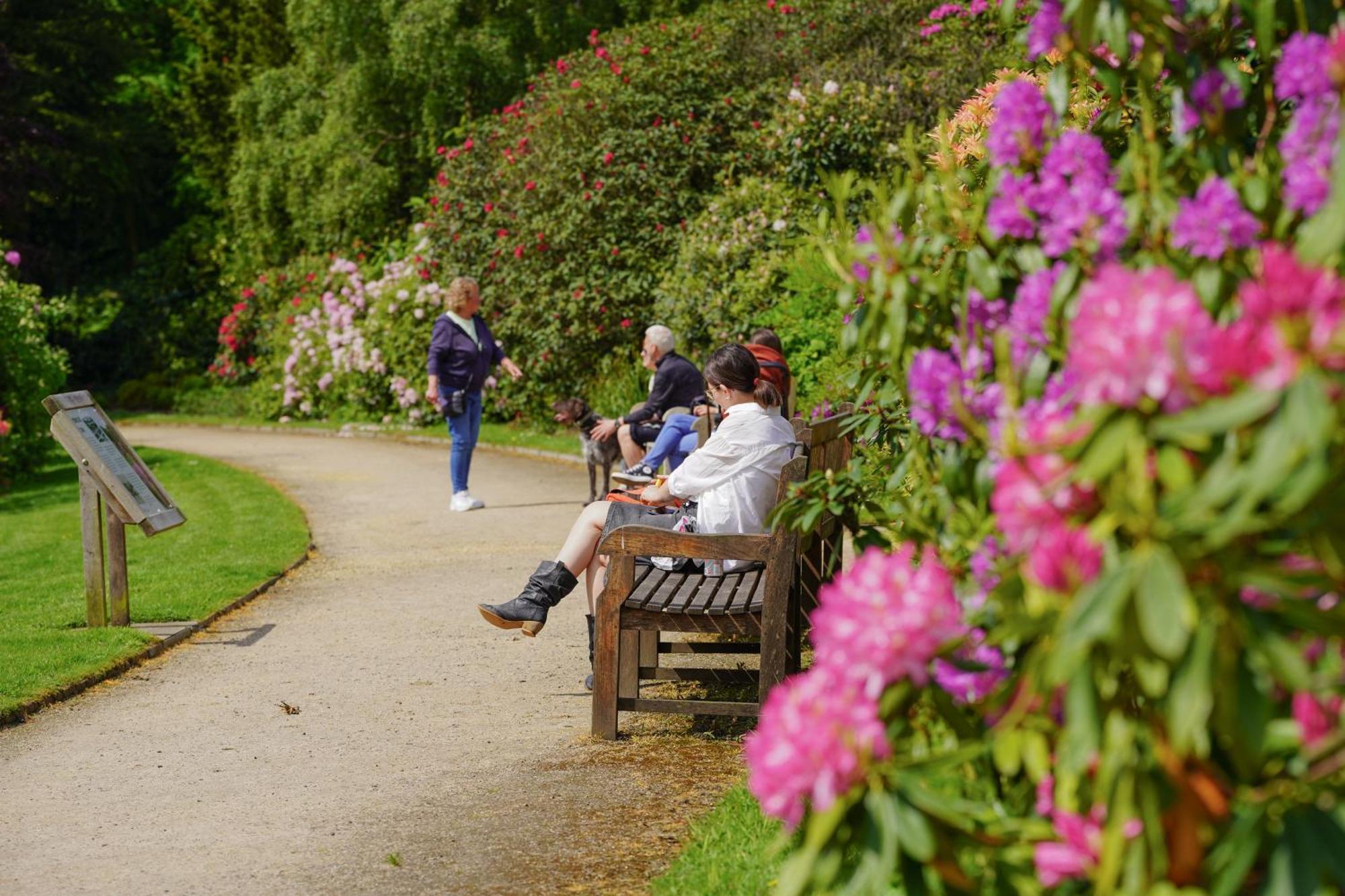 Ushaw Historic House, Chapels & Gardens Bed & Breakfast Durham Eksteriør bilde